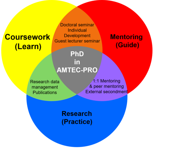 PhD training pillars